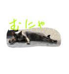 かぞく。（個別スタンプ：5）
