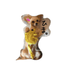 とってもとっても可愛いペット（個別スタンプ：3）