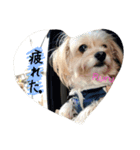 とってもとっても可愛いペット（個別スタンプ：4）