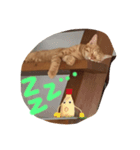 ラムネとごあいさつ（個別スタンプ：2）