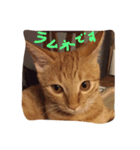ラムネとごあいさつ（個別スタンプ：7）