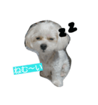 moastalk（個別スタンプ：3）