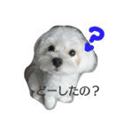 moastalk（個別スタンプ：8）