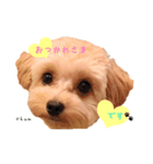 chumたんぷ（個別スタンプ：2）