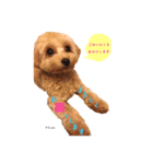 chumたんぷ（個別スタンプ：7）