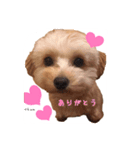chumたんぷ（個別スタンプ：8）