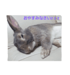 ラヴィがいる幸せ（個別スタンプ：4）