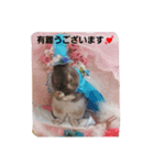ラヴィがいる幸せ（個別スタンプ：6）