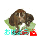 suro-rorisu 2（個別スタンプ：1）
