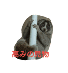 suro-rorisu 2（個別スタンプ：7）