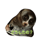 suro-rorisu 2（個別スタンプ：8）