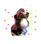 ロキ＆アッシュ（個別スタンプ：6）