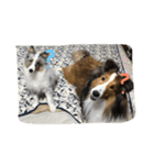 ロキ＆アッシュ（個別スタンプ：7）