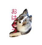 ロキ＆アッシュ（個別スタンプ：8）