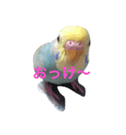 インコくぅちゃん（個別スタンプ：3）