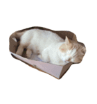 ふすまる（個別スタンプ：3）