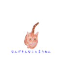 大阪弁の猫（個別スタンプ：8）