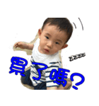 Harvey-Daily articles（個別スタンプ：9）
