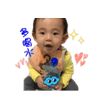 Harvey-Daily articles（個別スタンプ：20）