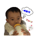Harvey-Daily articles（個別スタンプ：24）