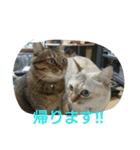 わさびとしろ（個別スタンプ：5）