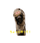 nananachan（個別スタンプ：3）