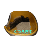 nananachan（個別スタンプ：7）
