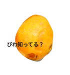 びわ好きのためのスタンプ（個別スタンプ：4）