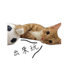 Lovely Cat Kiki（個別スタンプ：19）