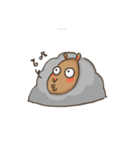 gray sheep（個別スタンプ：1）