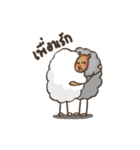 gray sheep（個別スタンプ：4）