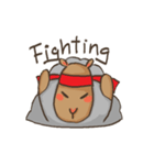 gray sheep（個別スタンプ：9）