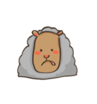gray sheep（個別スタンプ：31）