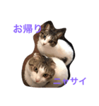miyakazoku（個別スタンプ：7）