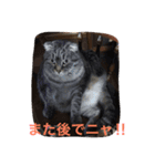 miyakazoku（個別スタンプ：8）