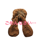 ぷーちゃんのスタンプ（個別スタンプ：3）