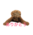 ぷーちゃんのスタンプ（個別スタンプ：8）