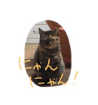 ちびとにゃんにゃんとドナと姫とのり子（個別スタンプ：4）