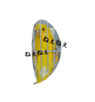 fanky birds（個別スタンプ：5）