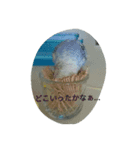 fanky birds（個別スタンプ：6）