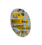 fanky birds（個別スタンプ：8）