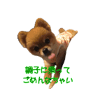 永遠のパピー犬⭐️極小ポメラニアンけだま（個別スタンプ：3）