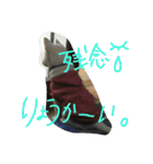 愛犬CoCoスタンプ②（個別スタンプ：7）