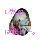 愛犬CoCoスタンプ②（個別スタンプ：35）
