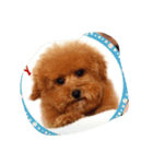 Pleasant friends 2017（個別スタンプ：7）