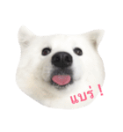 Udon the Wicked Dog（個別スタンプ：9）