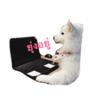 Udon the Wicked Dog（個別スタンプ：18）