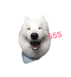Udon the Wicked Dog（個別スタンプ：20）
