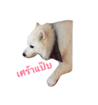 Udon the Wicked Dog（個別スタンプ：22）