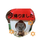 ハムスターズスタンプ2☆（個別スタンプ：4）